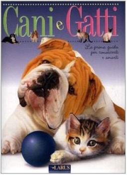 cani e gatti
