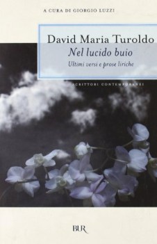 nel lucido buio ultimi versi e prose liriche (fuori catalogo)