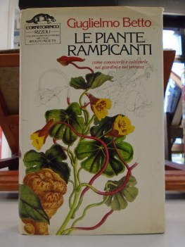 piante rampicanti