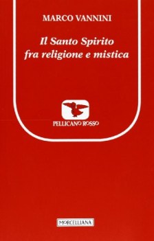 santo spirito fra religione e mistica