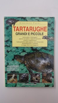 tartarughe grandi e piccole