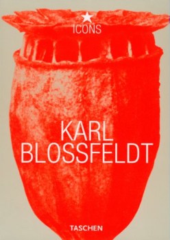 karl blossfeldt
