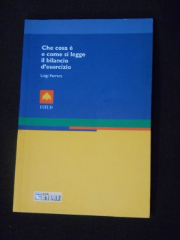 che cosa  e come si legge il bilancio d\'esercizio