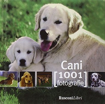 cani 1001 fotografie