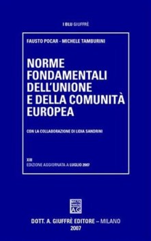 norme fondamentali dell\'unione e della comunit europea