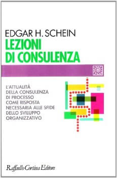 lezioni di consulenza