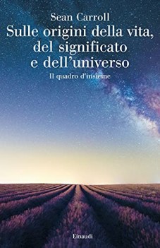sulle origini della vita del significato e dell\'universo il quadro d\'insieme