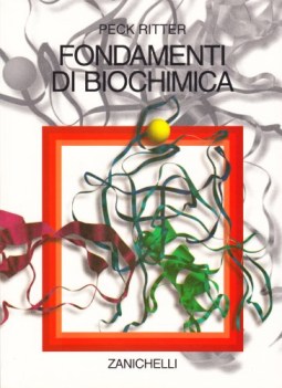 fondamenti di biochimica