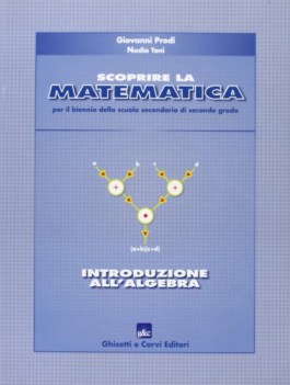 scoprire la matematica, introduzione...