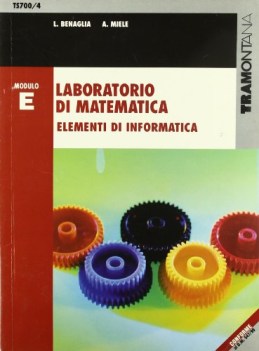 laboratorio di matematica e (700/4)