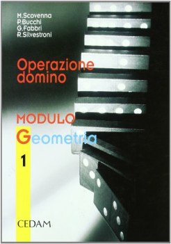operazione domino modulo G1 geometria