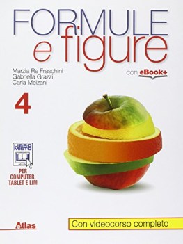 formule e figure 4