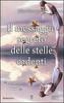 messaggio segreto delle stelle cadenti