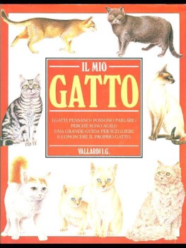 mio gatto