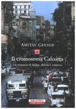 cromosoma calcutta
