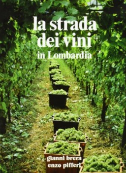 strada dei vini in Lombardia