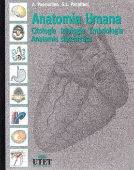anatomia umana
