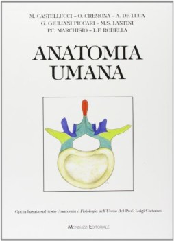 anatomia umana