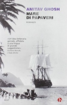 mare di papaveri