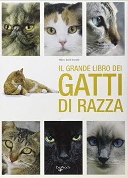 grande libro dei gatti