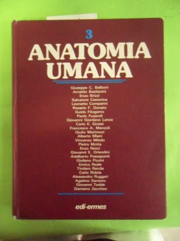 anatomia umana 3